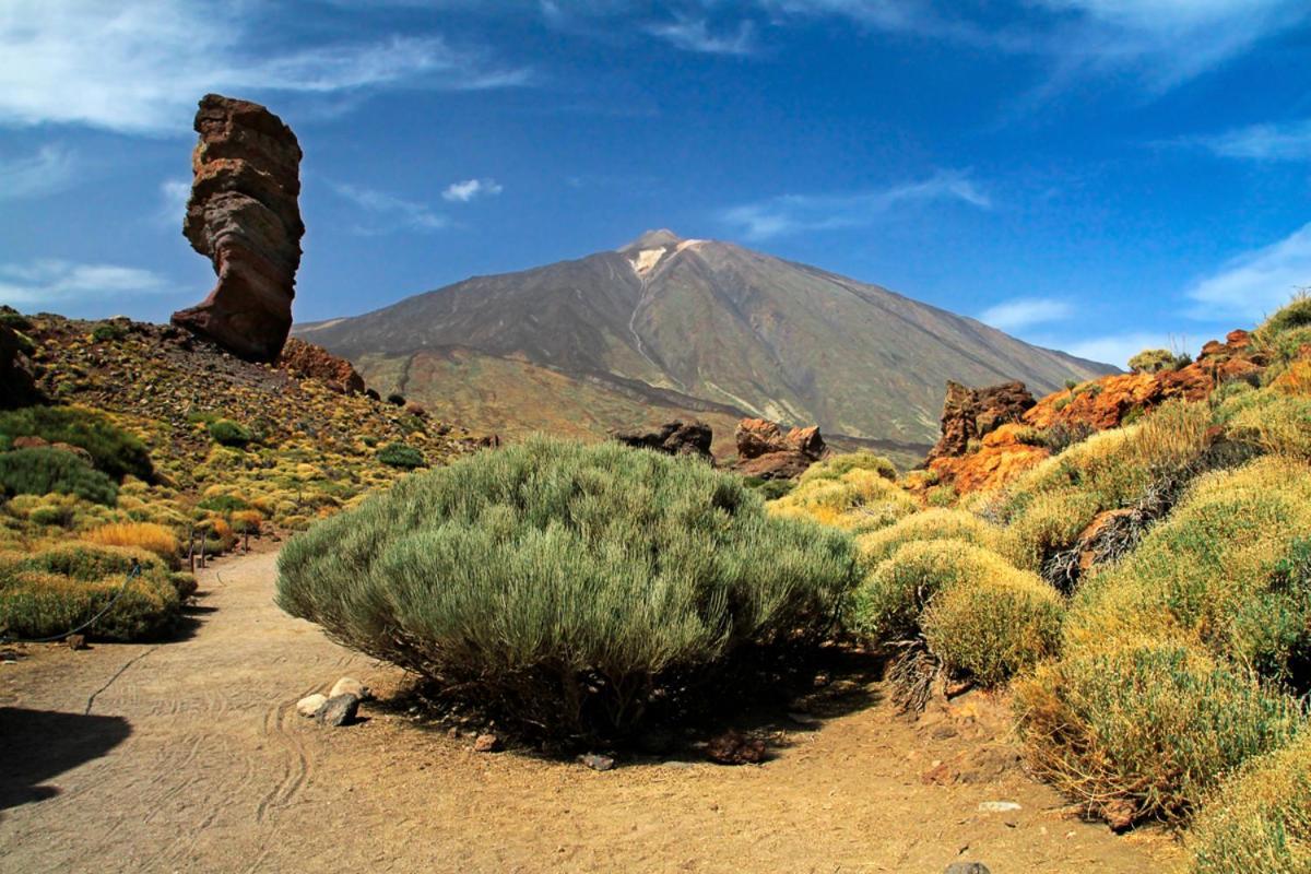 Sweet Home Los Cristianos Arona  Εξωτερικό φωτογραφία
